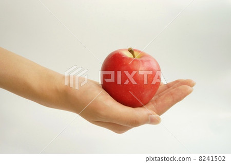 Shinano Piccolo 8241502