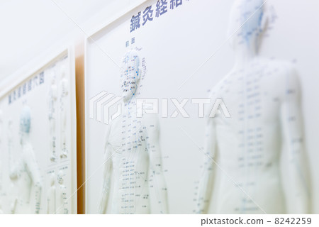 針灸路線 8242259