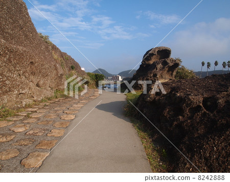 The promenade of Nojimasaki 8242888