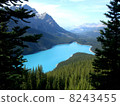 Peyto Lake Canadian Rockies 8243455