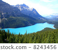 Peyto Lake Canadian Rockies 8243456