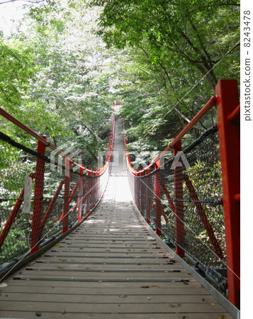 Morning bridge Morning bridge 8243478