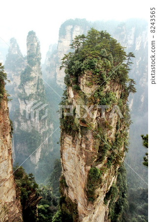 Movie Avatar's Hallelujah mountain! @ Zhangjiajie Movie Avatar's Hallelujah mountain! @ Zhangjiajie 8243565