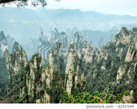 Movie Avatar's Hallelujah mountain! @ Zhangjiajie Movie Avatar's Hallelujah mountain! @ Zhangjiajie 8243566