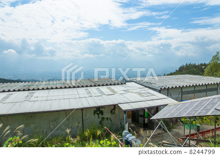 Hot spring hot spring Hot spring hot spring 8244799