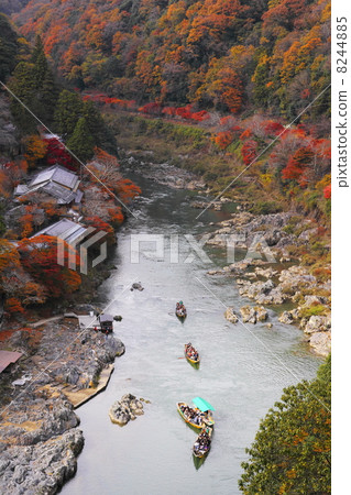 Arashiyama of autumn leaves Hizugawa descent 8244885