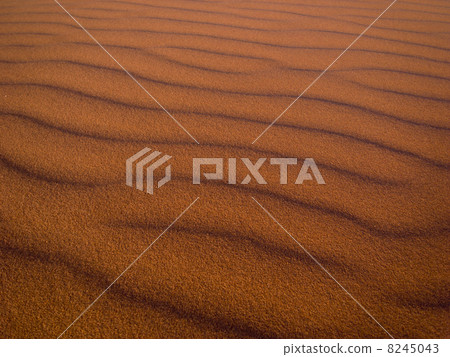 納米布沙漠 8245043