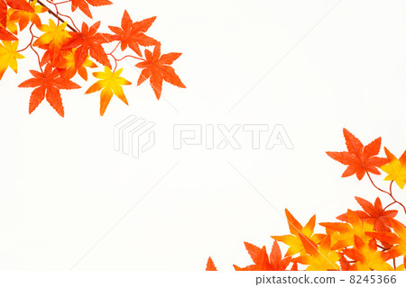 Momiji角落 8245366