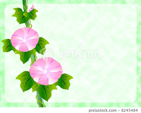 牽牛花側框架 牽牛花側框架 8245484