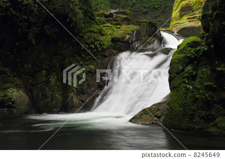 紅眼Shotokuro瀑布瀑布瀑布 8245649