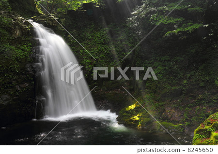 紅眼Shiratakiraki Fudo瀑布 8245650