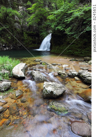 紅眼Shimpaku-taki瀑布千住瀑布 紅眼Shimpaku-taki瀑布千住瀑布 8245651