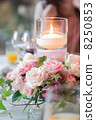 Party candle flower 8250853