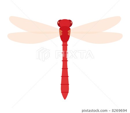 紅蜻蜓 8269694