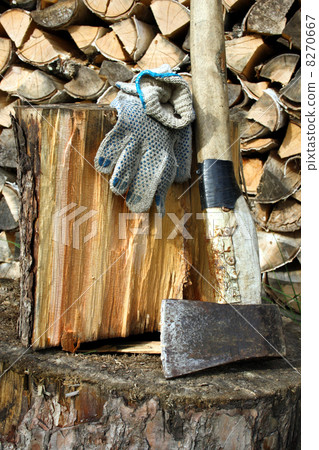 Preparation of fire wood for the winter 8270667