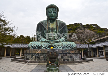 鎌倉大佛（Kotokuden /神奈川縣鎌倉市Hase） 8271505