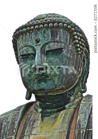 Kamakura Great Buddha (Kotokuden / Kanagawa Prefecture Kamakura City Hase) 8271506