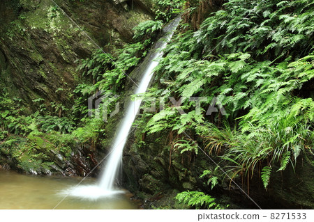 Teruya Falls 8271533