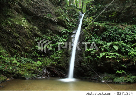 Kurosan Misaki 8271534