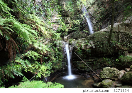 Kurosan Misaki 8271554