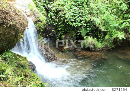 Kurosan Misaki 8271564