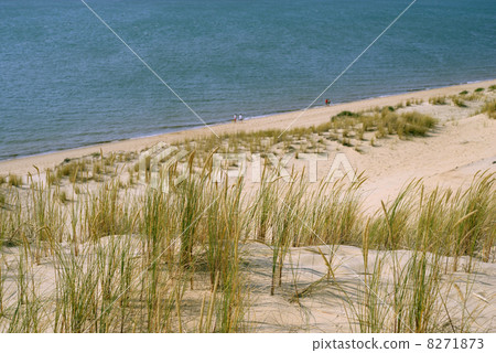 Dune of Pilat, France 8271873