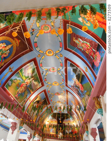 Extreme colored prayer ① Extreme colored prayer ① 8273509