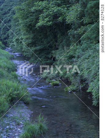 Clear current image 8274128