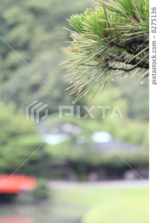 Kuribayashi Park（香川縣高松市） 8275136