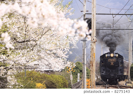 春天秩父鐵路SL 春天秩父鐵路SL 8275143