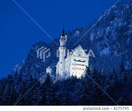 Neuschwanstein Castle Night view 8275745