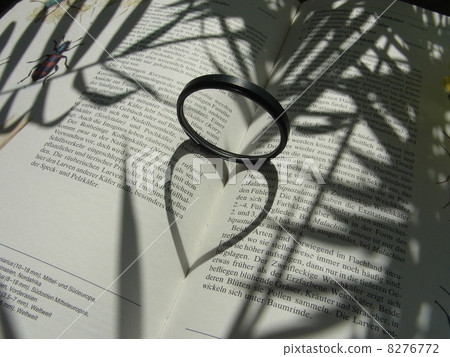 Heart Shadow Heart Shadow 8276772