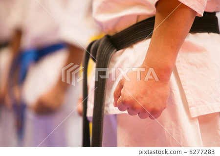 Karate image 8277283