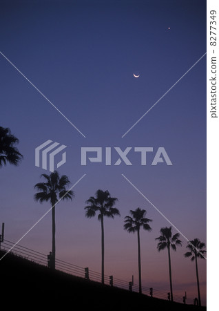 Morning moon 1 Morning moon 1 8277349