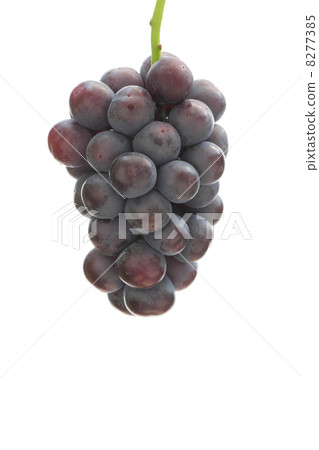 Grapes Grapes 8277385
