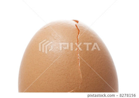殘破的蛋殼特寫鏡頭 8278156