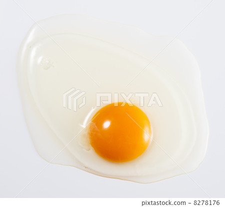 在白色背景的雞蛋 8278176