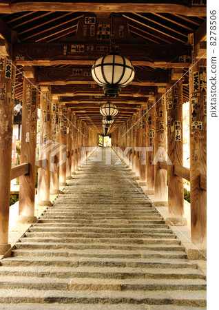 哈斯神廟 8278506