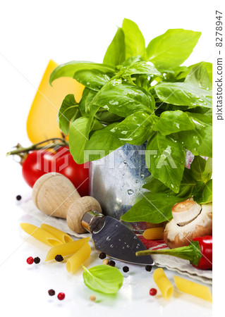 Fresh basil in the pot and italian ingredients Fresh basil in the pot and italian ingredients 8278947