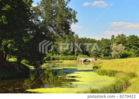Summer landscape of the Pavlovsk garden. Visconti Bridge 8279422