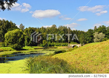 Summer landscape of the Pavlovsk garden. Visconti Bridge Summer landscape of the Pavlovsk garden. Visconti Bridge 8279428