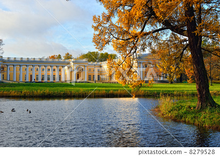 The Alexander palace in Pushkin. Autumn landscape 8279528