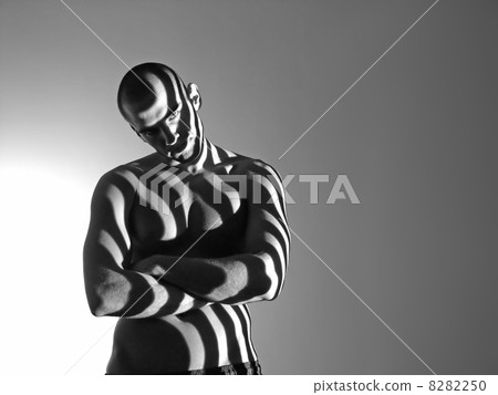 Zebra Man 8282250