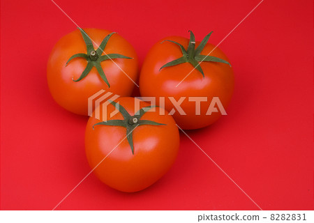 Red Tomatoes 8282831