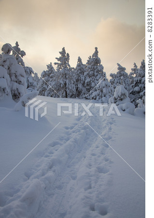 Footprints in snow Footprints in snow 8283391