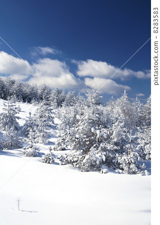 Winter Winter 8283583