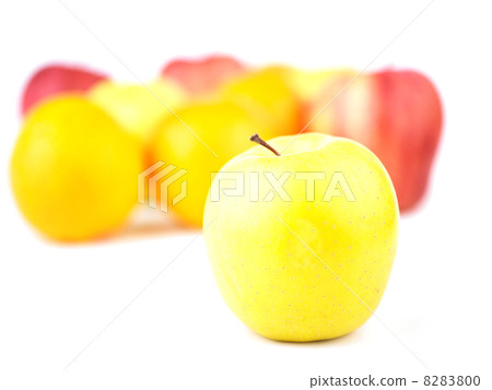 Yellow Apple and Fruit Mix 8283800