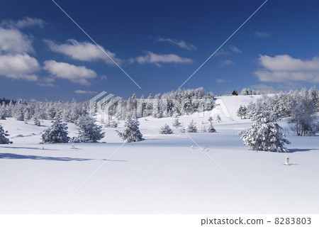 Winter 8283803