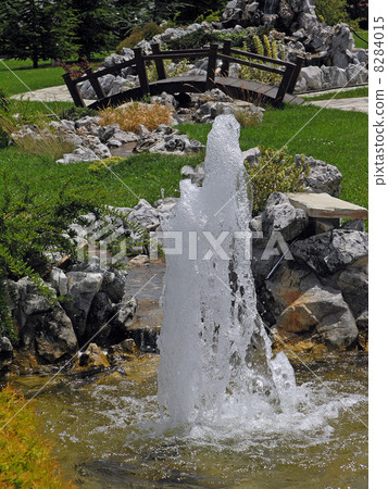 Strong Spring in Garden 8284015