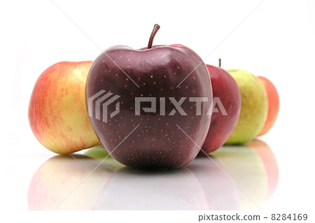 8284169